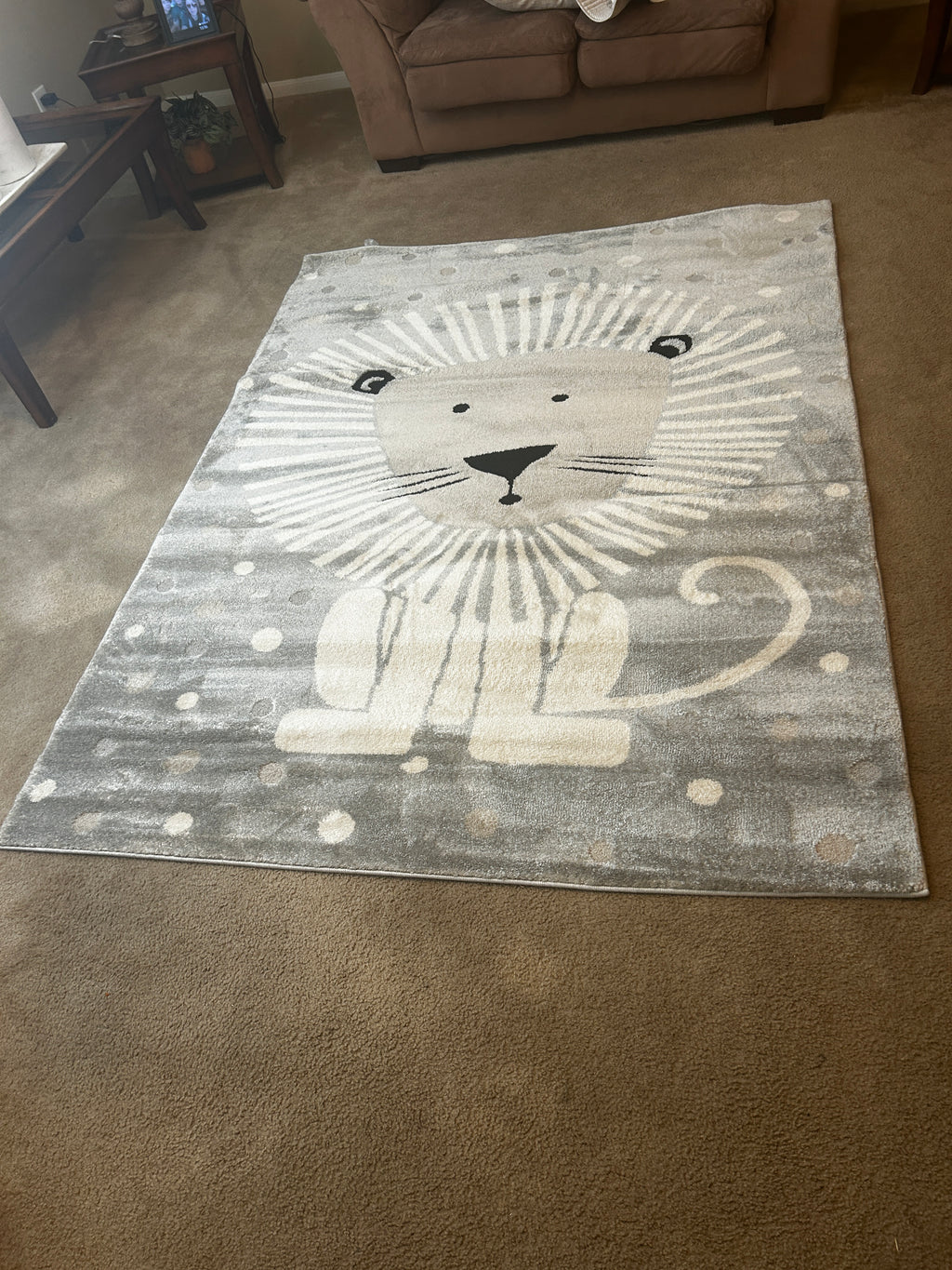 T And C Deco Kids Rug Lion 5x7