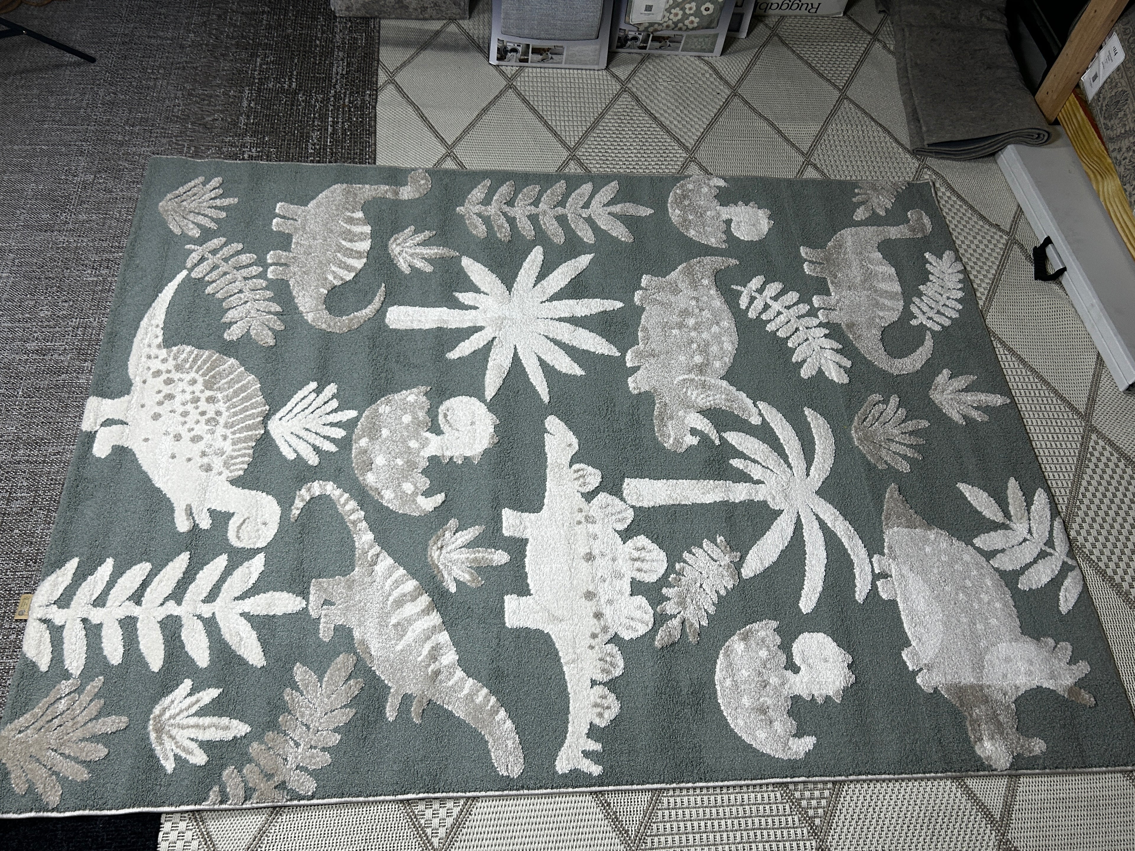 T And C Deco Kids Rug Dinosaur 5x7