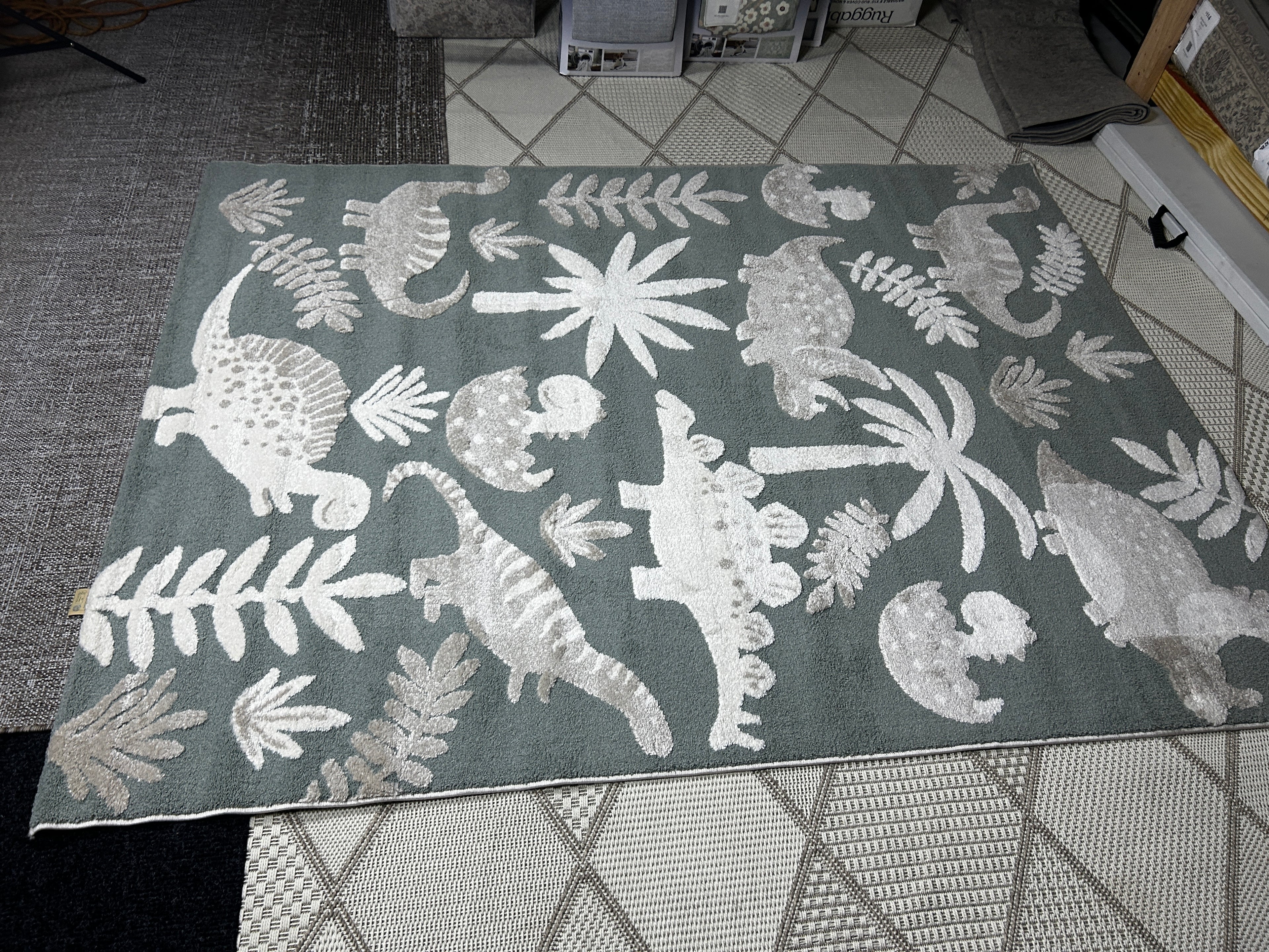 T And C Deco Kids Rug Dinosaur 5x7