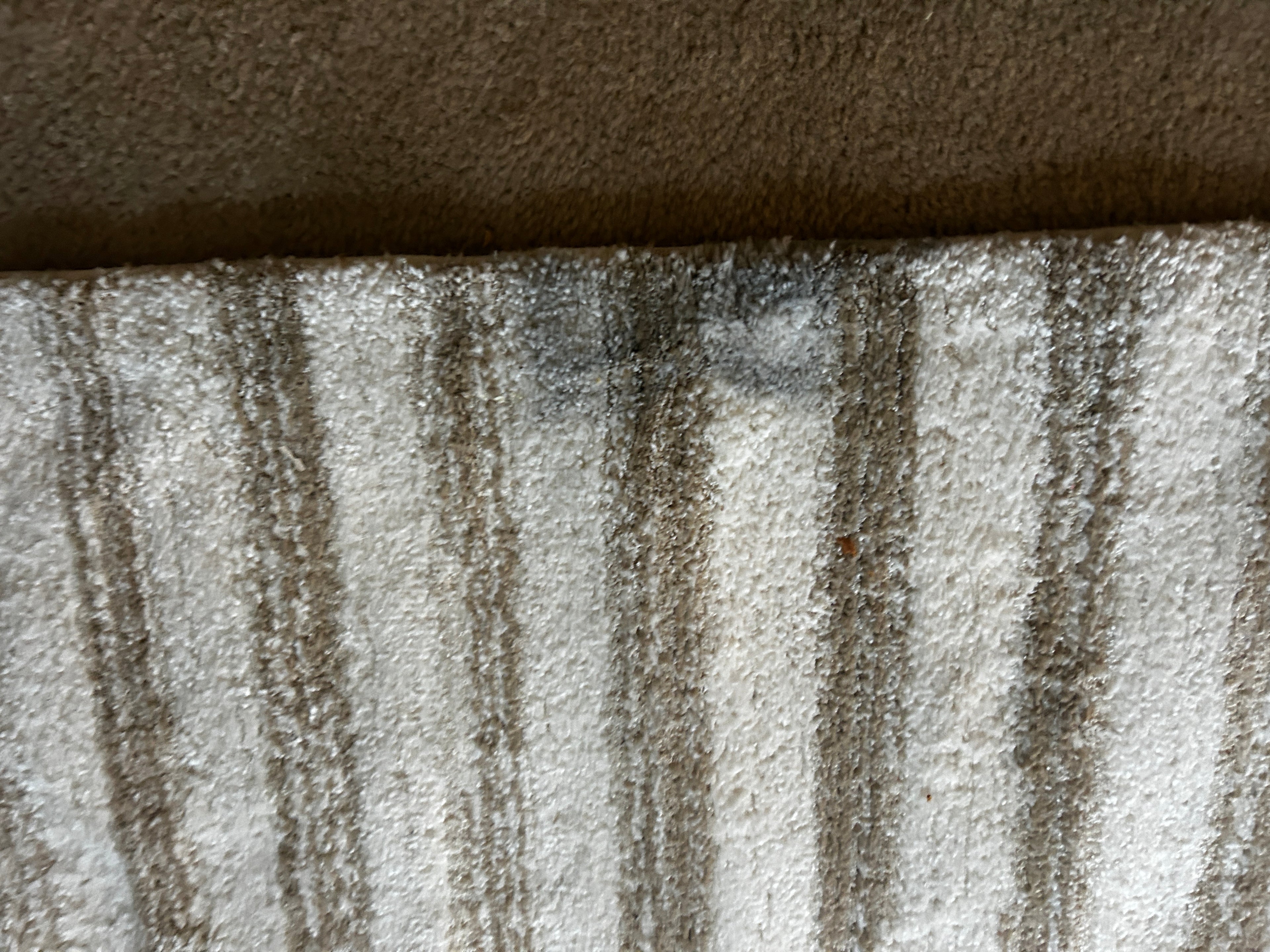 Foxwood Cozy Rug Beige Cream 8x10