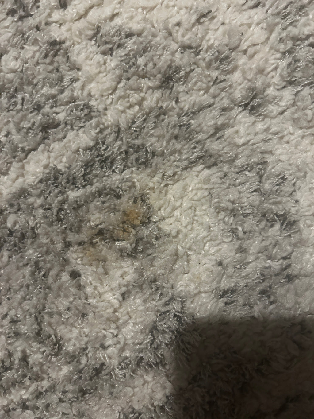 Foxwood Cozy Rug Grey White 8x10