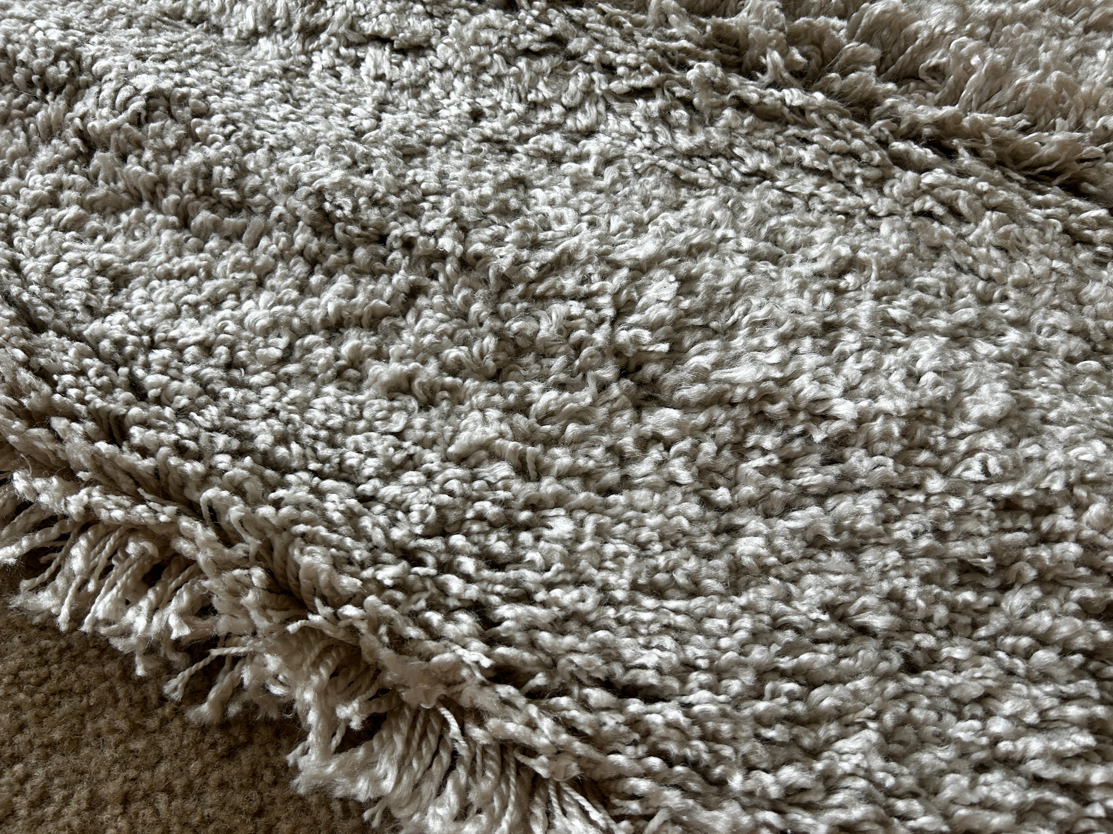 TV Shag Rug Cream 3x7