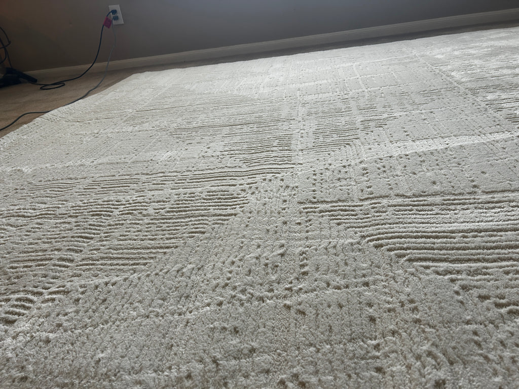 Briar Rug White IV 8x10