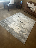 T And C Deco Kids Rug Lion 5x7