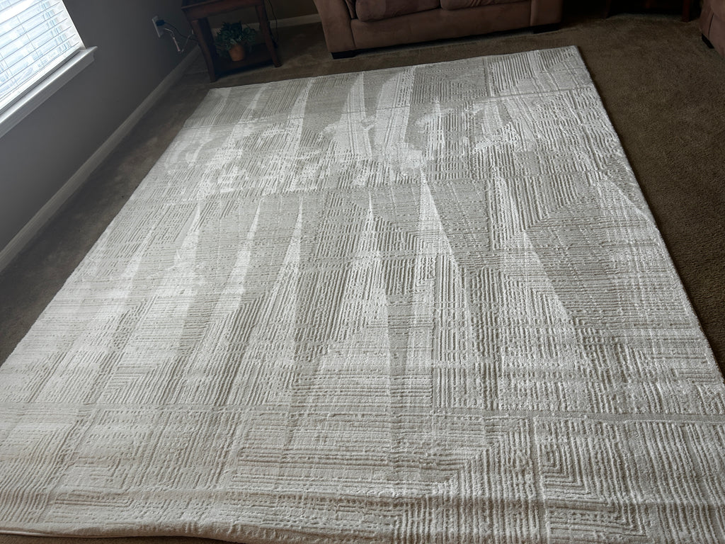 Briar Rug White IV 8x10