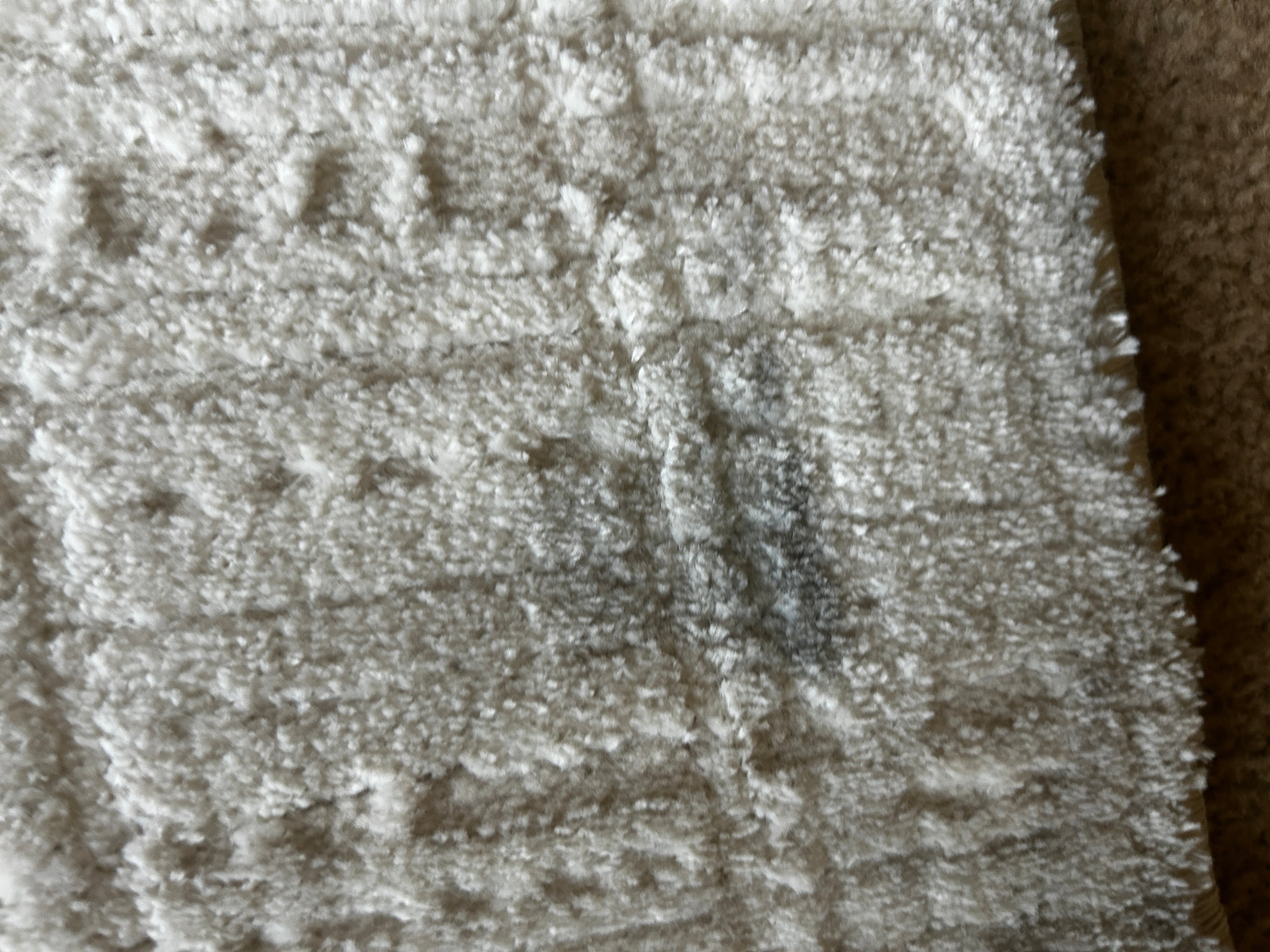 Briar Rug White IV 8x10