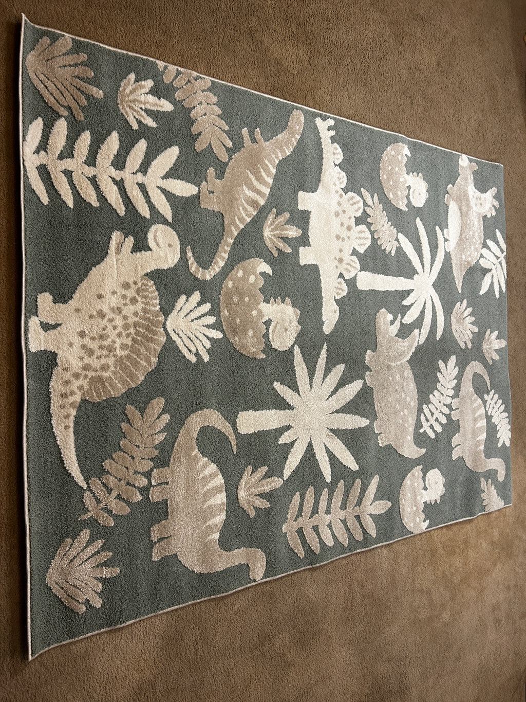 T And C Deco Kids Rug Dinosaur 5x7