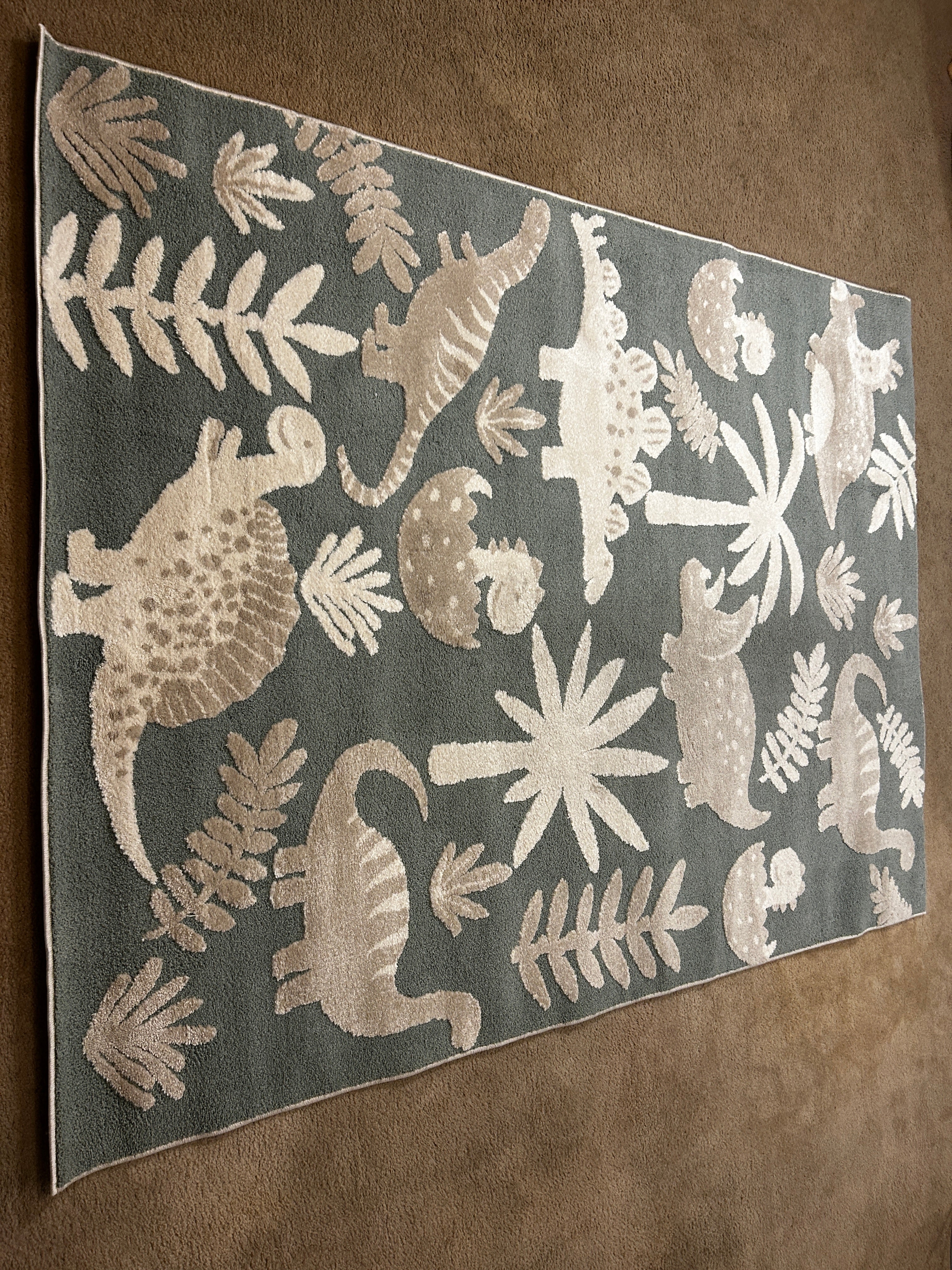 T And C Deco Kids Rug Dinosaur 5x7